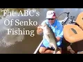 Download Lagu ABC's of Senko fishing