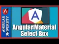 Angular Material Select Box - Lots Of Useful Options