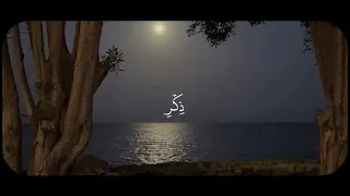 في بيوت أذن الل  ه أن ترف ع و يذ كر  ف يها اسمه    سورة النور القارئ الشهيد صالح الجعفراوي رحمه الله دندنها
