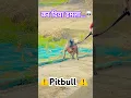 #ruchi #pitbull #pitbulldog #biral #viraldog#dogvideos#dogshort #dogshorts#trendingsong #latestvideo