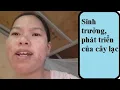 Download Lagu Quá trình giặt quần áo của tôi