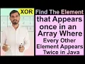 Find The Element That Appears Once In An Array Where Every Other Element Appears Twice in Java