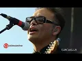 CAFE TACVBA COACHELLA 2013 - Ingrata HD !