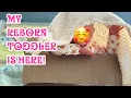 Download Lagu Unexpected Reborn Toddler Box Opening And Name Reveal! 