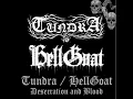 Tundra / Hellgoat - Desecration and Blood (Full Split)