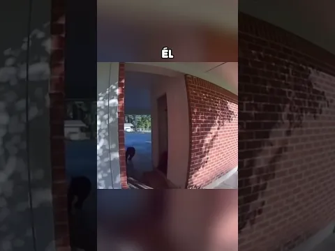 Niño se encuentra con Oso