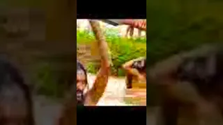 Yaa Jaal Marroo Dirribaa 