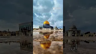 الله يا الله عاث بنا الأعداء صوت الضمير  إيقاظ الضمير العربي لدعم الشعب الفلسطيني دندنها