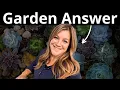 Inspiring Story of Laura LeBoutillier Garden Answer