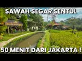 Download Lagu Wisata Kuliner \u0026 Jalan-Jalan ke Sawah Segar Sentul Bogor