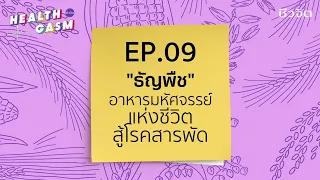 ข้าวโอ๊ตมีประโยชน์ต่อสุขภาพอย่างไร