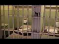 Santa Rosa Jail View