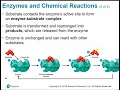 2117 Chapter 5 - Microbial Metabolism