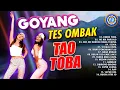 Download Lagu DJ BATAK ‼️ GOYANG TES OMBAK TAO TOBA || FULL ALBUM DJ BATAK