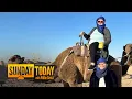 Former Missouri Senator Snaps A Sunday Mug Shot With A Camel