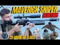 Download Lagu SNIPER MAVERICK AIR GUN HUNTING I LONG RANGE AIR GUN HUNTING WITH HN SLUGS I AIRGUN HUNTING PESTS