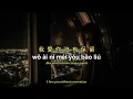 P.S. I Love You【P.S.我爱你】verse Live [Pinyin,English,Indonesian Translation]