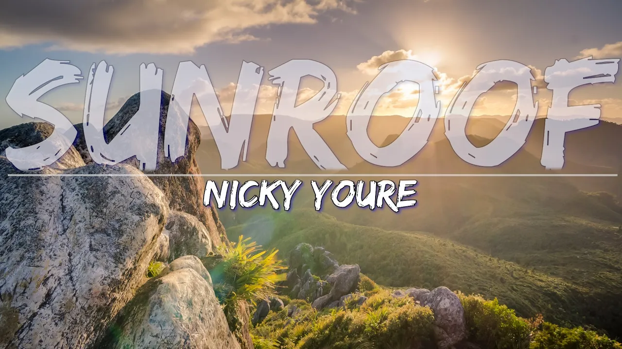 Nicky Youre - Sunroof (Lyrics Video) - 4k Video