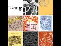 Tunng - Magpie Bites (With Lyrics)