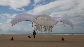 strandbeest evolution 2021