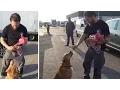 Tom Hardy Fan Brings Treats For His Dog