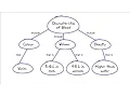 Concept mapping