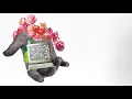Gabrielle Aplin - Like You Say You Do (Multi Language Lyric Video)