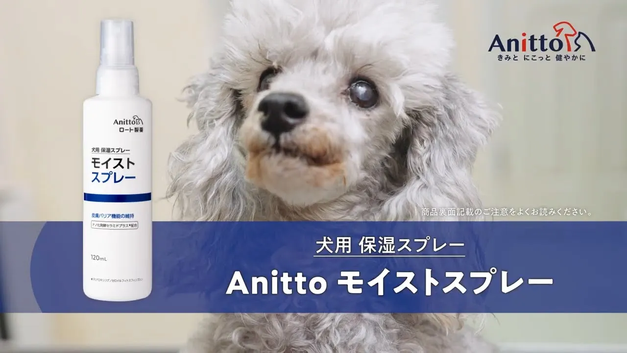 ペット商品使い方動画事例 / スプレー