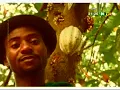 Les Patrons - C'est la vie
