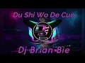 Download Lagu Du Shi Wo De Cuo 都是我的错 Remix By Dj Brian Bie