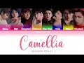 PENTAGON (펜타곤) - 동백꽃 (Camellia) (Color Coded Lyrics MGL/ROM/HAN/가사)