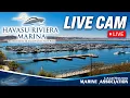 Havasu Riviera Marina Live Cam Lake Havasu Arizona LHMA Live Stream