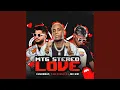Download Lagu MTG - STEREO LOVE
