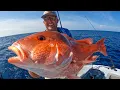 BIG GENUINE RED SNAPPER in the Atlantic Ocean Catch Clean Cook ft Lucas Black
