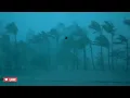 12 Hours inside a Category 5 Hurricane-Rain & Thunder Sounds for Sleep-Lock the Door & Go Sleep-ASMR