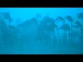Download Lagu 12 Hours inside a Category 5 Hurricane-Rain \u0026 Thunder Sounds for Sleep-Lock the Door \u0026 Go Sleep-ASMR