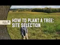 How to Plant a Tree - Site Selection