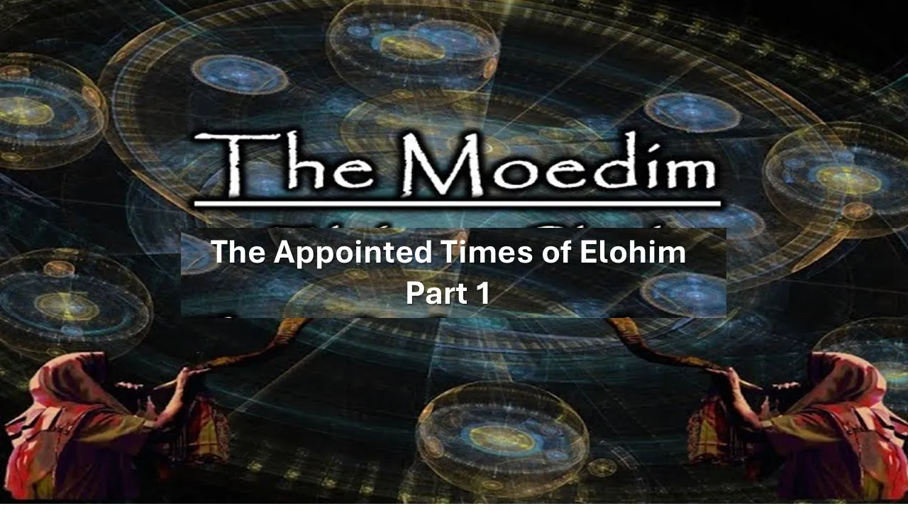 The Moe'dim Part 1 by Reggie lee