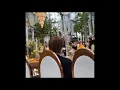 Download Lagu Jungkook singing \