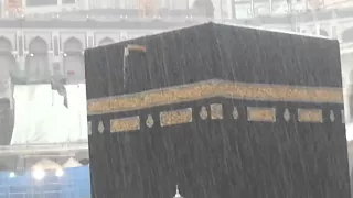 صلى عليك الله ياخير الورى 