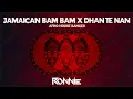 JAMAICAN BAM BAM X DHAN TE NAN - DJ RONNIE | AFRO | BOLLYWOOD MASHUP | BOLLYWOOD BANGER | HUGEL