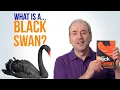Download Lagu What is a Black Swan?
