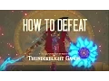 How to beat Thunderblight Ganon Gerudo Divine Beast Vah Naboris Boss