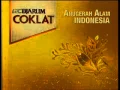 RCTI Djarum Coklat 00 43