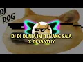 DJ DI DUNIA INI TENANG AJA X DJ SANTUY