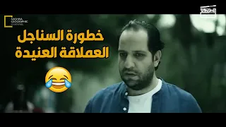 سناجل عملاقة  دورة حياة السناجل العملاقة على قناة نشوى جغرافيك   دندنها