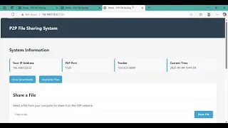 P2P File Sharing System