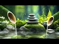 Relaxing Music & Water Sounds for Meditation - Relieve Stress, Anxiety & Depression, Insomnia