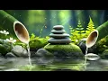 Lagu Relaxing Music \u0026 Water Sounds for Meditation - Relieve Stress, Anxiety \u0026 Depression, Insomnia