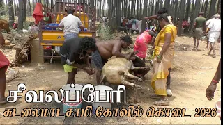 seevalaperi sudalai madasamy kovil kodai 